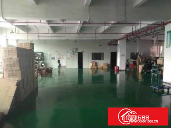 塘厦独门独院带豪华装修800平厂房出租，原房东零摊