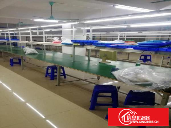 出租全新厂房写字楼已装修