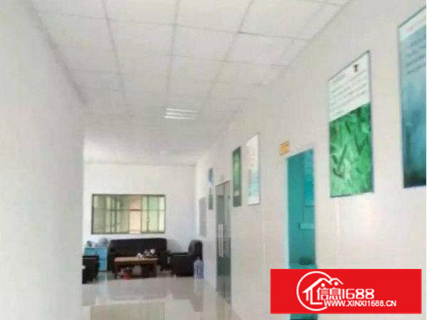 平湖新木村委新出钢构1500平交通便利厂房招租