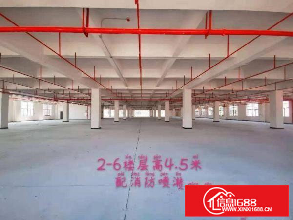 全新重工业花园式厂房免租半年