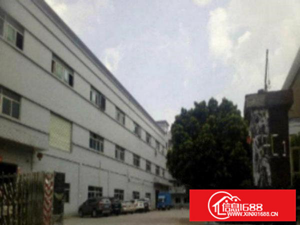 高埗成熟工业园厂房分租1000平方低价招租中靠近省道，交通便