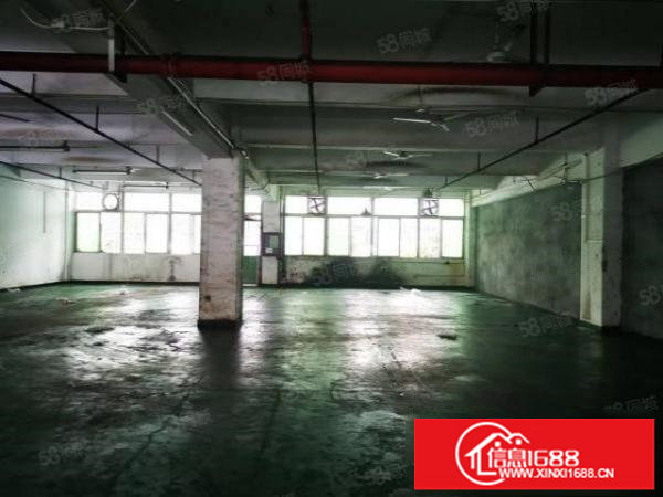龙华天虹附近新出一楼厂房700平出租