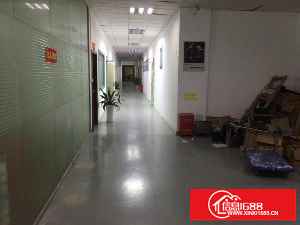 吉华路边带装修办公楼厂房出租实图拍摄