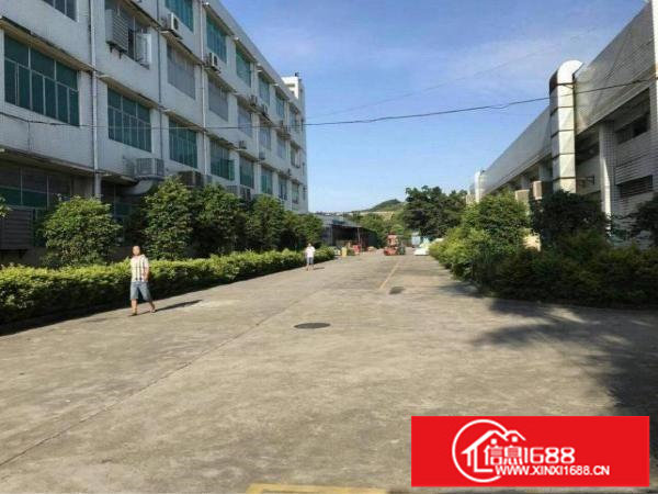 横岗六约原房东带装修厂房1350至6750平米出租