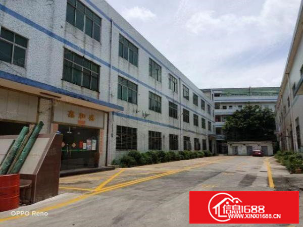 坪山石井坪葵路边独栋厂房4800平方招租