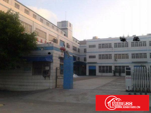 大浪英泰业主厂房2层出租(一二楼3000平方)