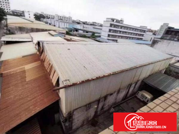 横岗华侨新村社区独院厂房出租单一层钢构1000平方