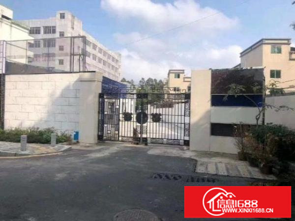 黎光一楼2200平米独院出租租金26元