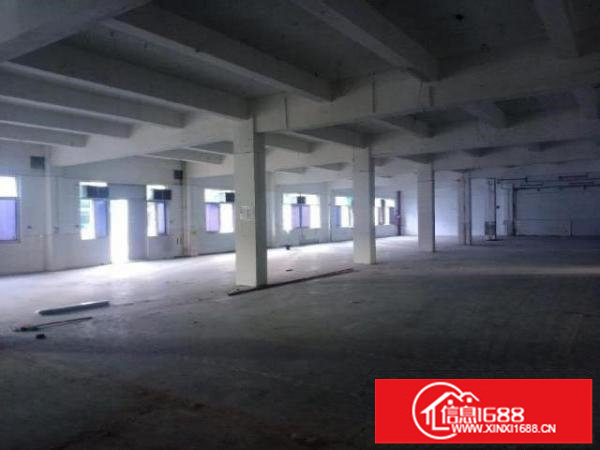 观澜君子布靓厂房出租