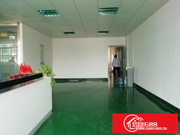 龙华天虹附近新出700平厂房带精装修无转让费出租