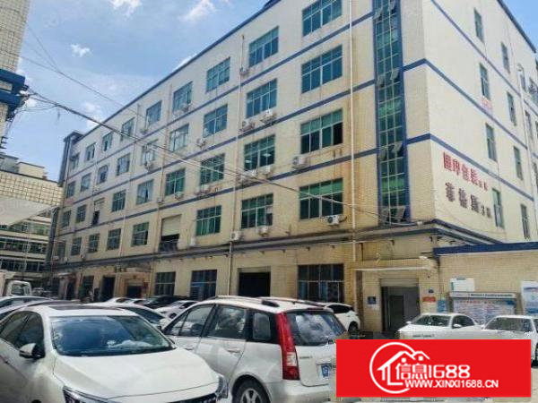 观澜樟坑径新出楼上900平厂房，精装修，无转让费