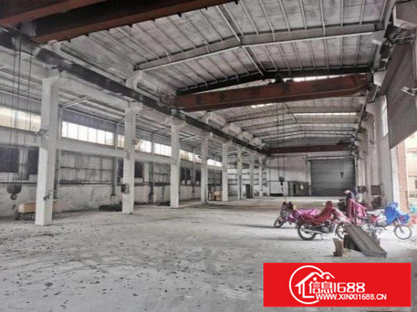 横沥工业区一楼钢构2000方，大小可分，滴水13米，砖墙到顶