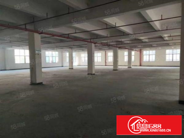 石排赤坎标准一楼1100方出租租20元，水电齐全，有现成行车