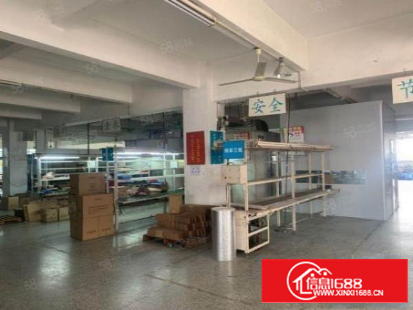 石碣镇单一层砖墙到顶一楼出租500方，现成水电行车租16元