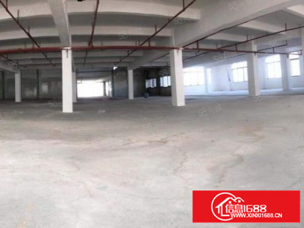 非中介，石碣四甲标准独园厂房可分租位置优美。周边配套齐全。