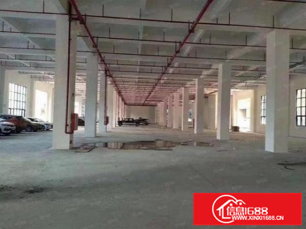 石排黄家壆新出一楼1200平方厂房招租