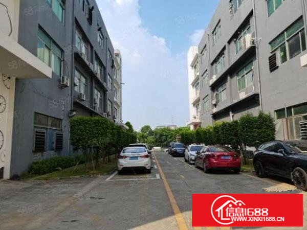 观澜章阁原房东红本厂房1800平带精装修，水电齐全，价格25