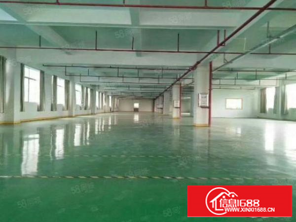 新出独院3900平方厂房出租可以分租