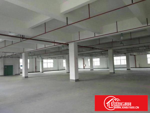 惠阳秋长白石黄氏工业区一二楼厂房6000平招租