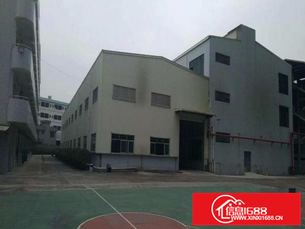 寮步新出钢结构5000方，可以任意分租