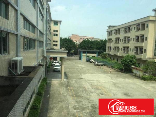 西城工业区现租客分租二楼1500平方水电齐全