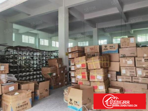 常平苏坑新出一楼600平方，高度5.5米，现成水电办公室装修