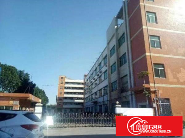 五联新出楼上1200平米豪华装修厂房招租