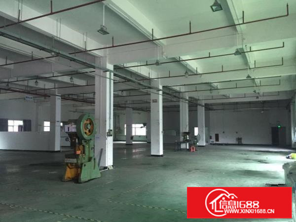 原房东标准楼房带豪华装修办公室，空间利用率非常高。