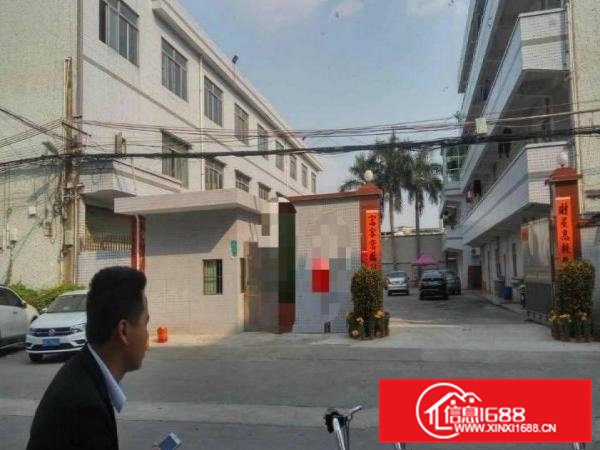 横沥新出楼上1200平方厂房