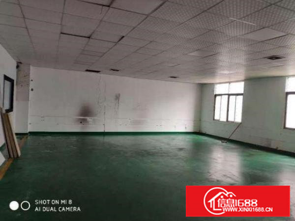 原房东（新出）长安乌沙新安大桥附近480平带装修厂房