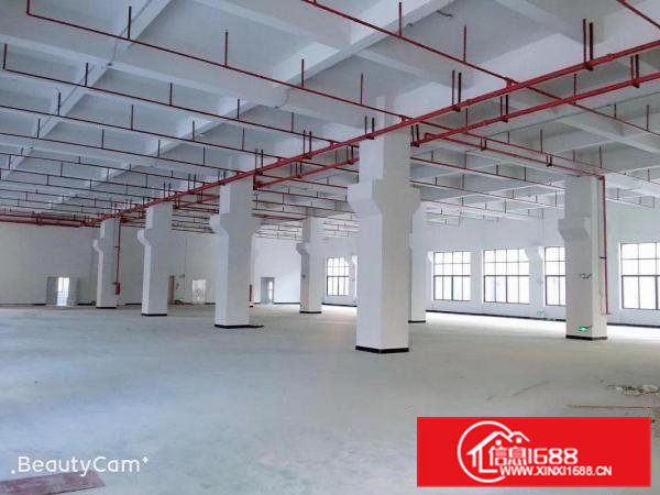 黄江板湖一楼800平带牛角位可分租