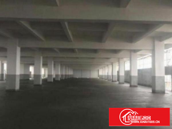 万江环城路外独院标准厂房1-3层5300平方出租带现成办公室