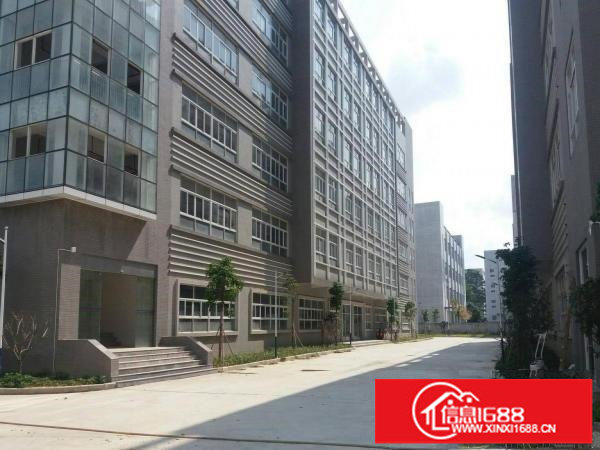 真实房源宝龙5楼厂房3300平方带装修及电梯可分租