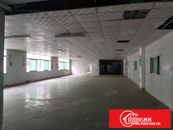 横沥镇原房东独院13层5000平招租，空地大，形象好