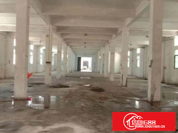 红本厂房出租，证件齐全