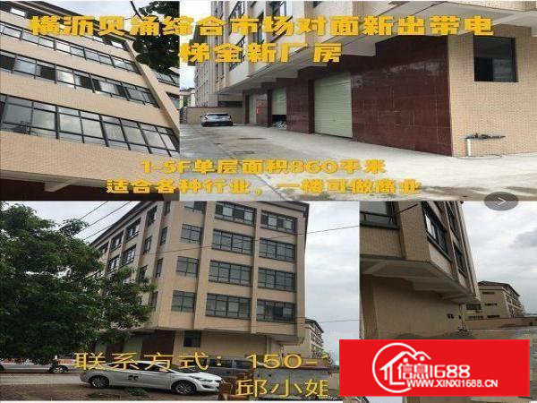 靠近常平天鹅湖横沥贝涌上贝路81号全新独门独院厂房出租