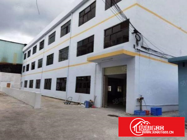 石排新出翻新厂房2000,自带卸货平台,适合各种行业