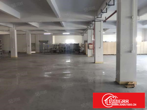 凤岗浸校塘一手房东楼上整层1300平,办公室装修电梯(可分)