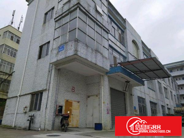 坪山坪山碧岭新出原房东无尘车间500平米