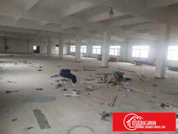 精装独院展厅单层1100平高6米出租