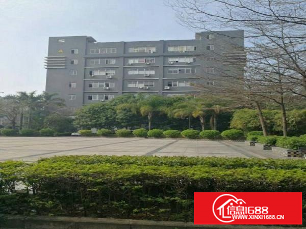 观澜高新区新出一栋7层，每层2000平米出租