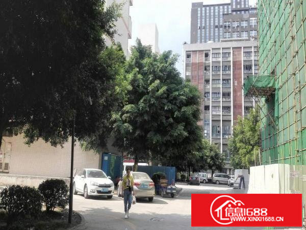 独院厂房，20000平方米招租，货车随便进