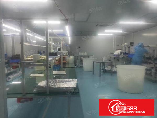 长安镇乌沙无尘车间1000，豪华装修.水电齐拎包入住。