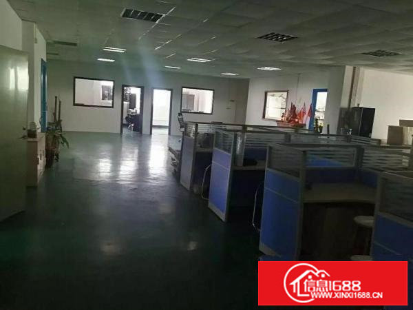 大浪英泰工业区300~500~6000平装修厂房