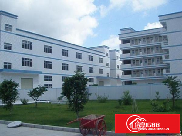 龙岗宝龙厂房出租800平2000平带电梯精装修