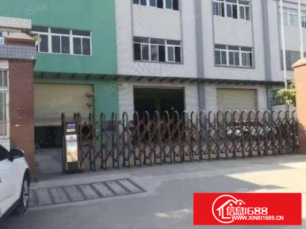 狮山科技园B区标准框架结构一楼1500平方水电到位