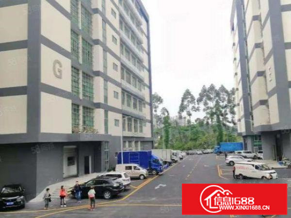 坂田杨美地铁站附近楼上整层2400平方厂房出租可以分租