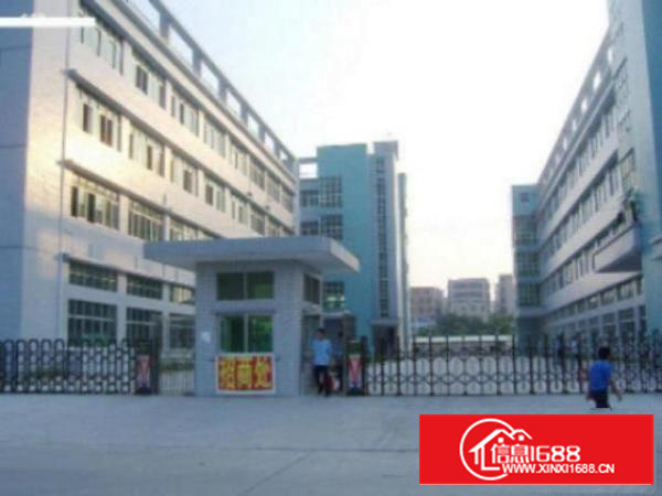 高埗工业区标准厂房出租一楼2000平方出租货柜随便掉头。配套