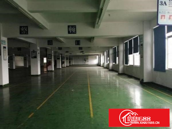 大岭山镇工业大道出租二楼带精装修800平厂房有办公室可分租