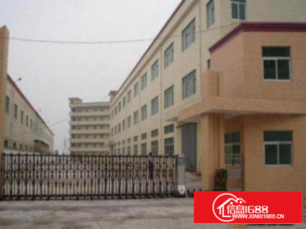 万江标准厂房一楼2000平方出租空地大，水电线路齐全